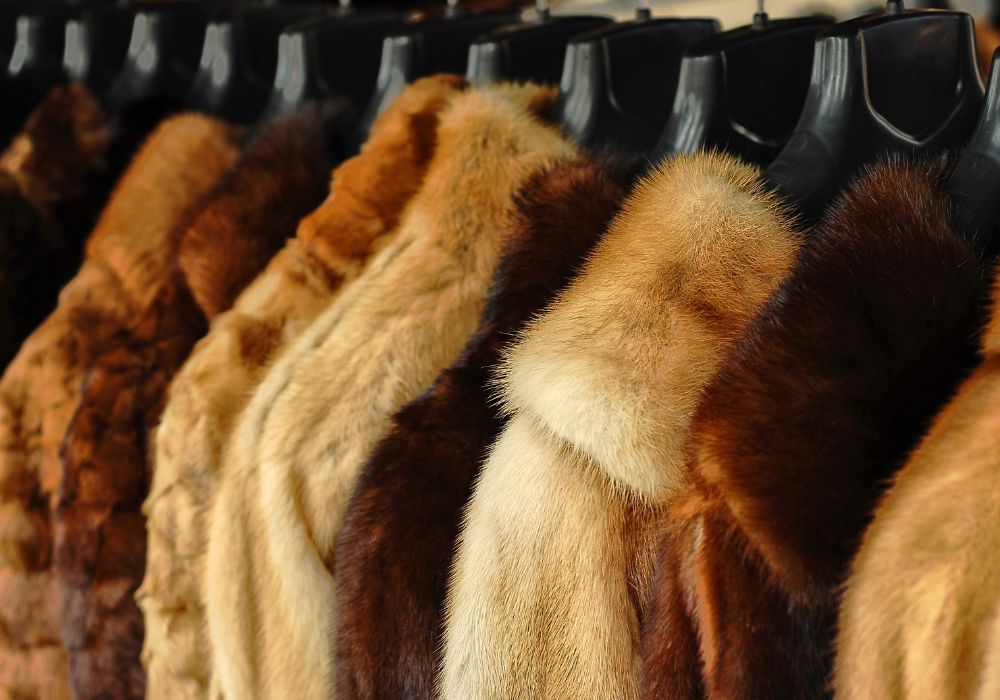 How to Care for a Shearling Coat: Revitalize Your Shearling Coat