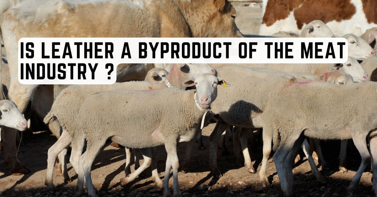 Is Leather a Byproduct of the Meat Industry Unveiling the Truth