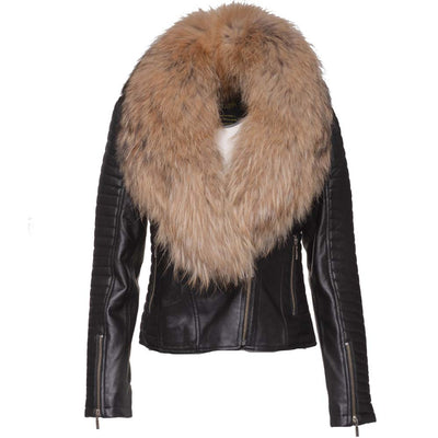 Fur shawl leather jacket with ribbed sleeves