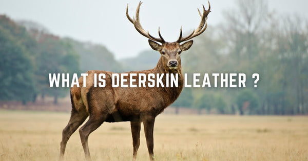 What is Deerskin Leather: Characteristics, Benefits, and Uses