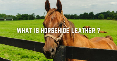 What is Horsehide Leather: Characteristics, Benefits, and Uses